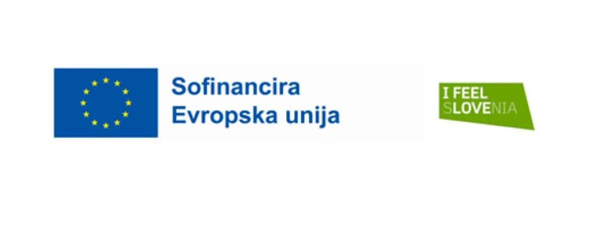 logo_UE Ptuj_prenova križišča